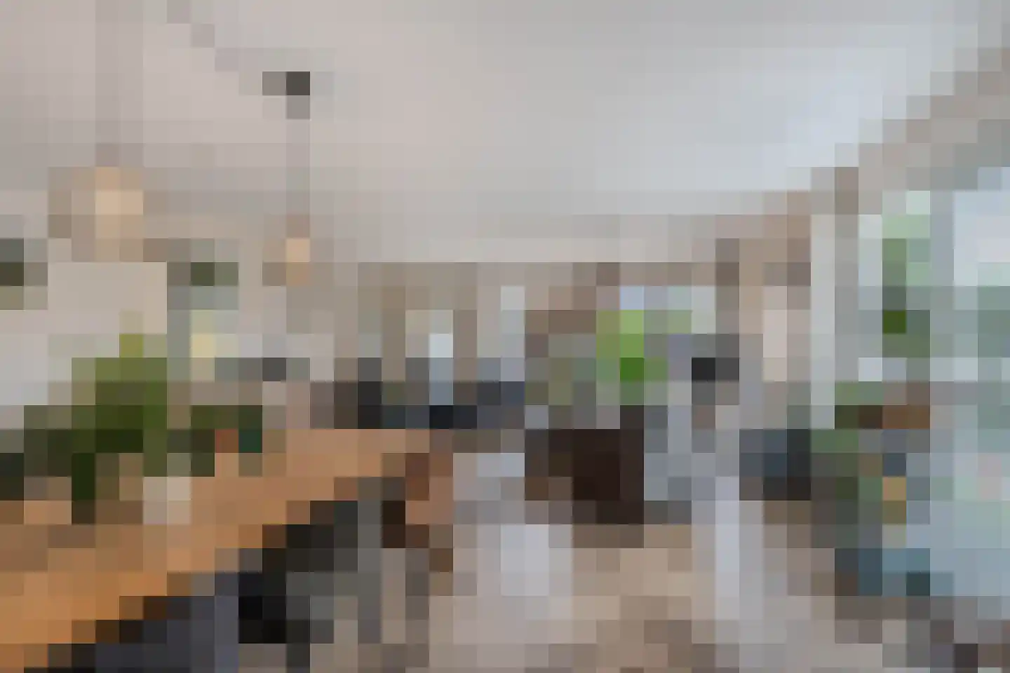 Kreuzeveen 25 Vledder thumbnail 11