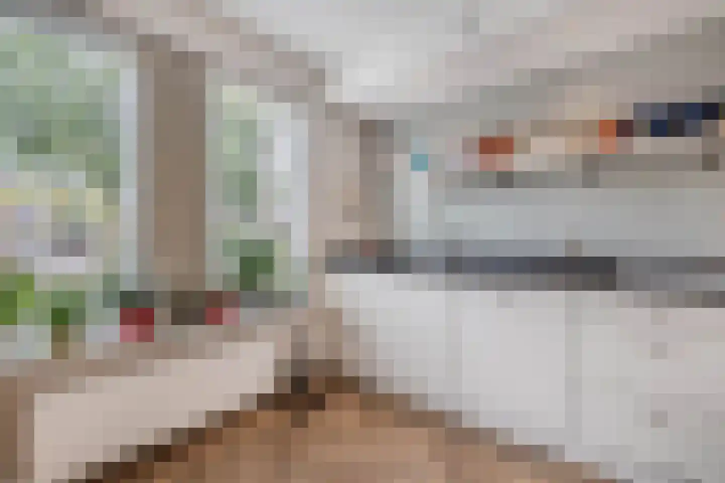 Kreuzeveen 25 Vledder thumbnail 13