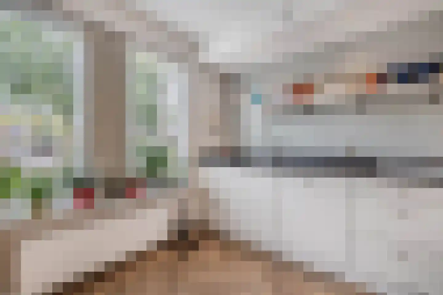 Kreuzeveen 25 Vledder thumbnail 14