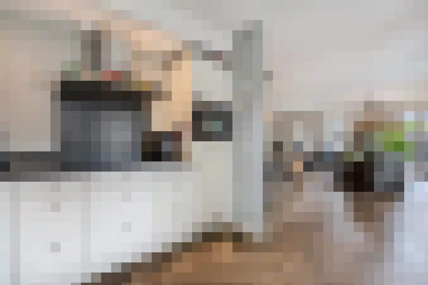 Kreuzeveen 25 Vledder thumbnail 14