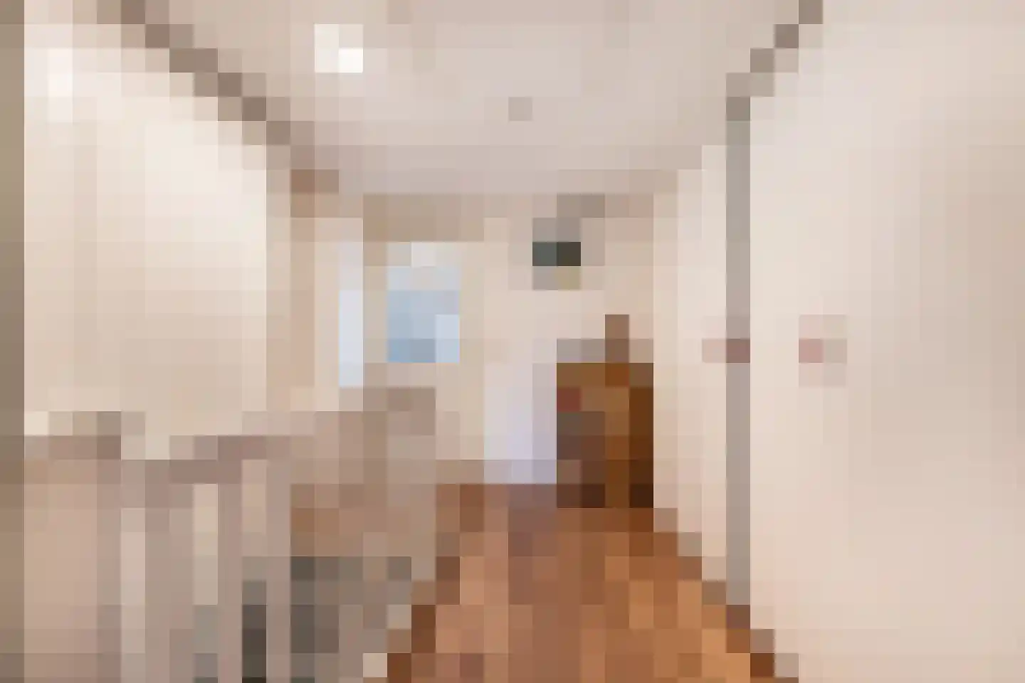 Kreuzeveen 25 Vledder thumbnail 24