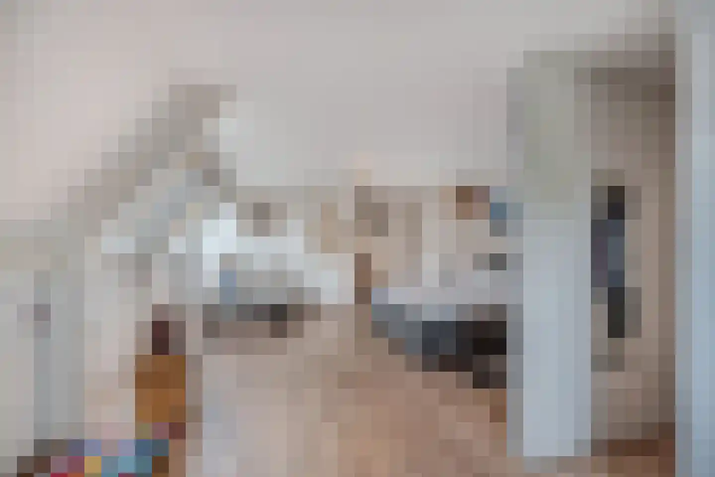 Kreuzeveen 25 Vledder thumbnail 25
