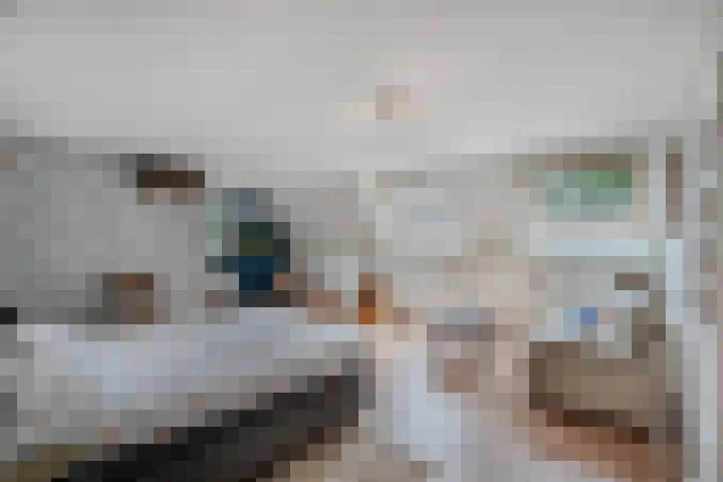 Kreuzeveen 25 Vledder thumbnail 27