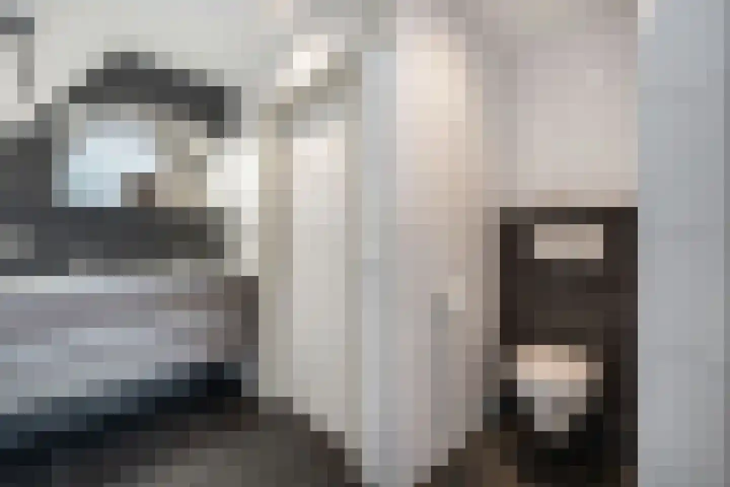 Kreuzeveen 25 Vledder thumbnail 29