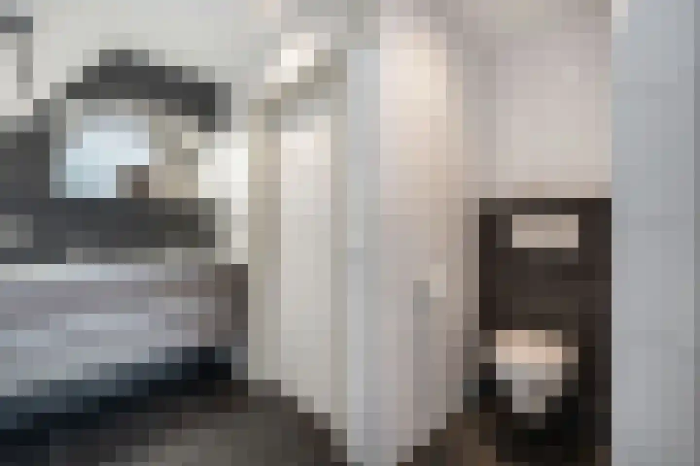 Kreuzeveen 25 Vledder thumbnail 30