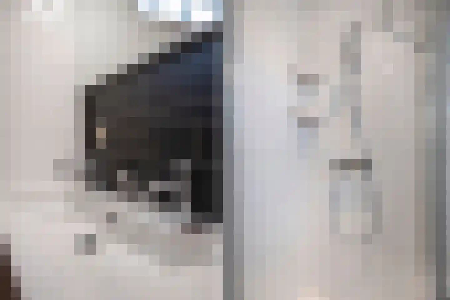 Kreuzeveen 25 Vledder thumbnail 31