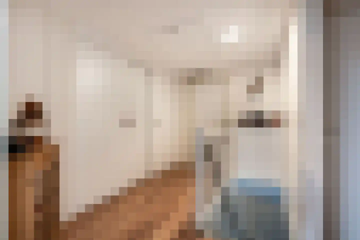Kreuzeveen 25 Vledder thumbnail 32