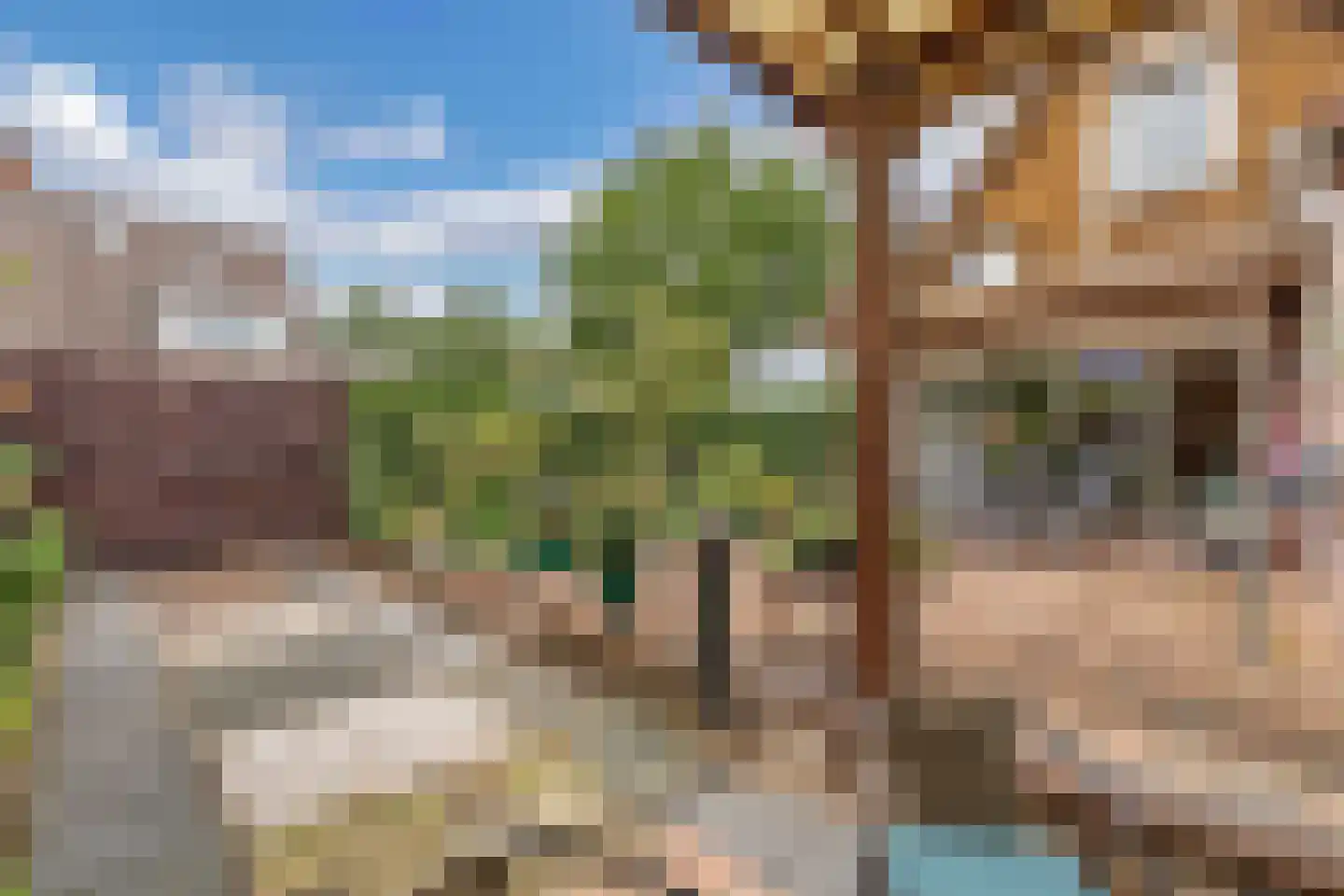 Kreuzeveen 25 Vledder thumbnail 36