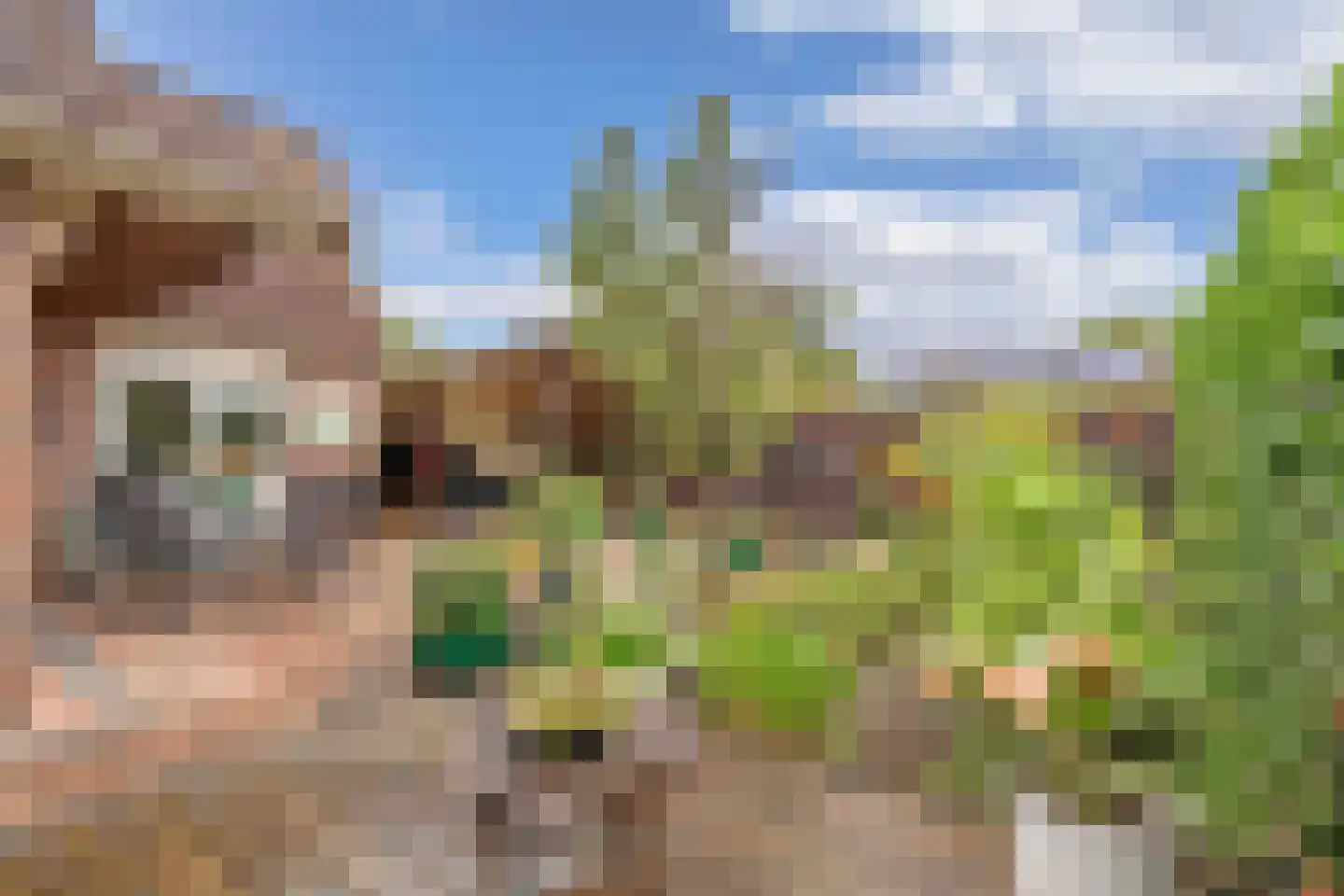 Kreuzeveen 25 Vledder thumbnail 39