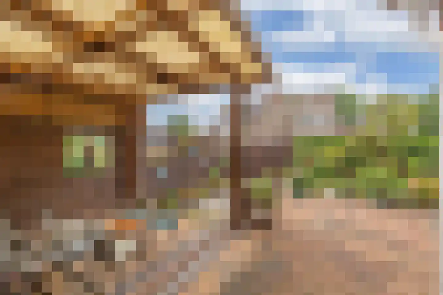 Kreuzeveen 25 Vledder thumbnail 40