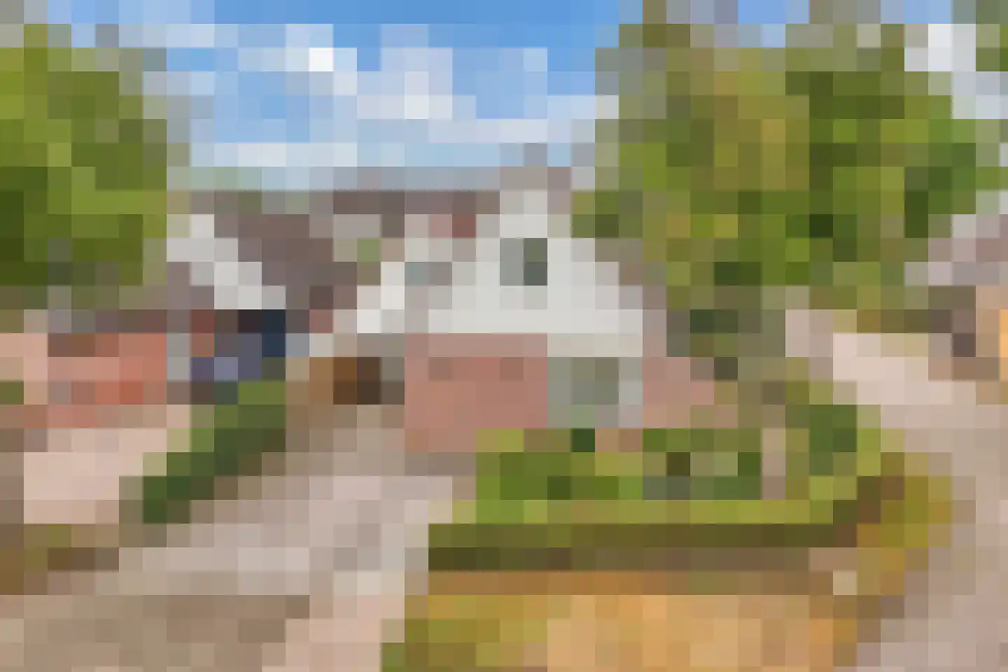 Kreuzeveen 25 Vledder thumbnail 41