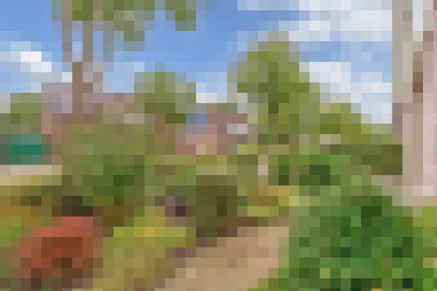 Kreuzeveen 25 Vledder thumbnail 43