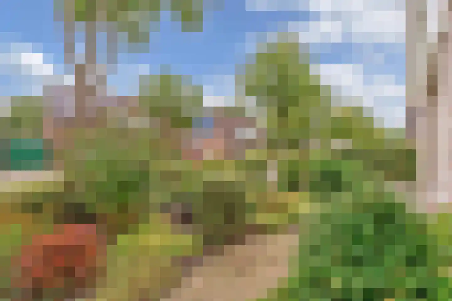 Kreuzeveen 25 Vledder thumbnail 44