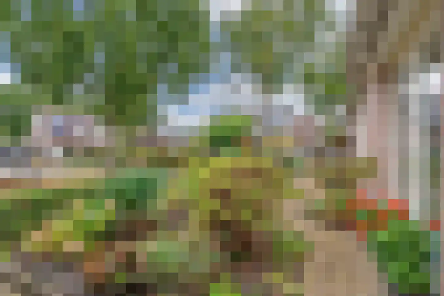 Kreuzeveen 25 Vledder thumbnail 44