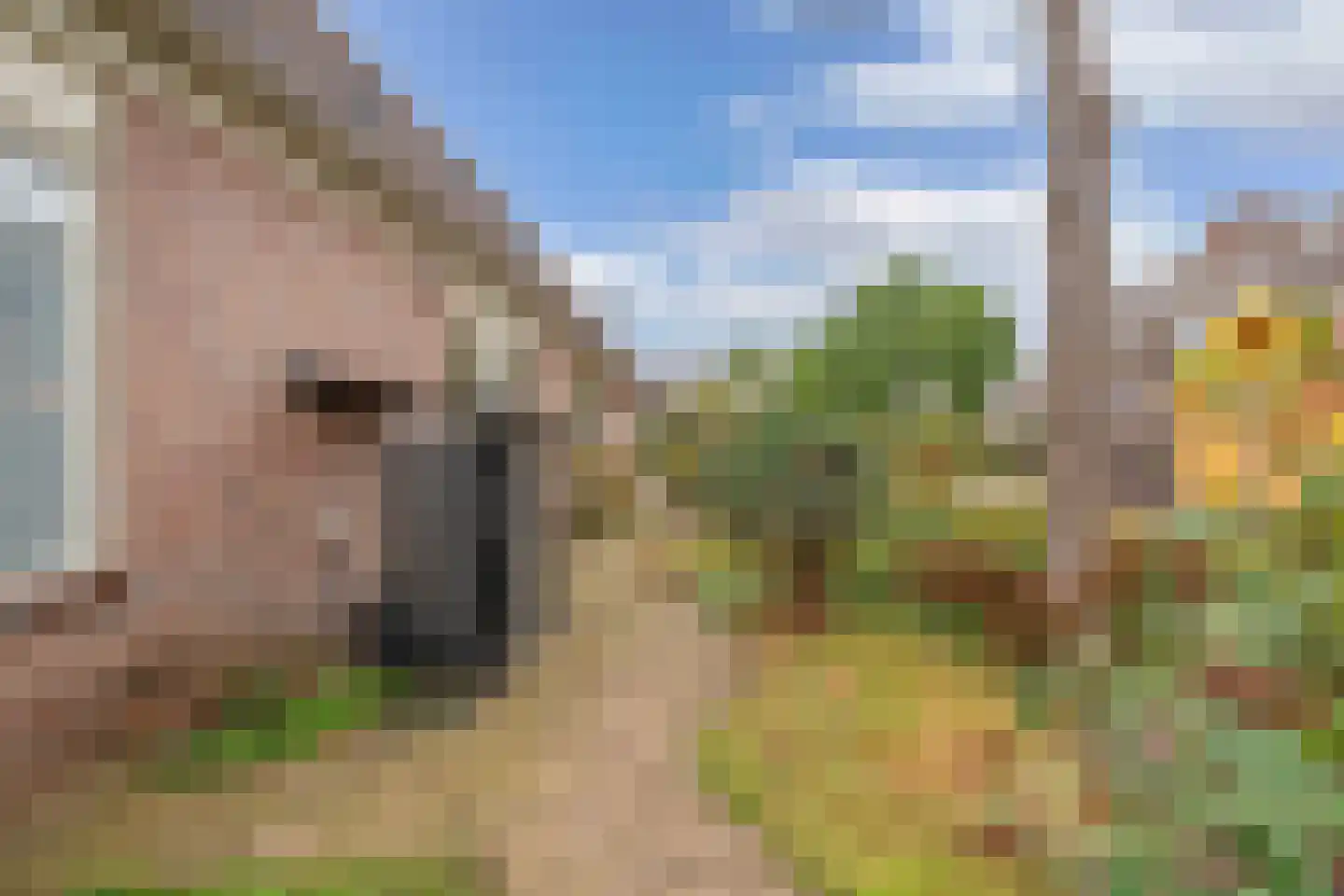 Kreuzeveen 25 Vledder thumbnail 45