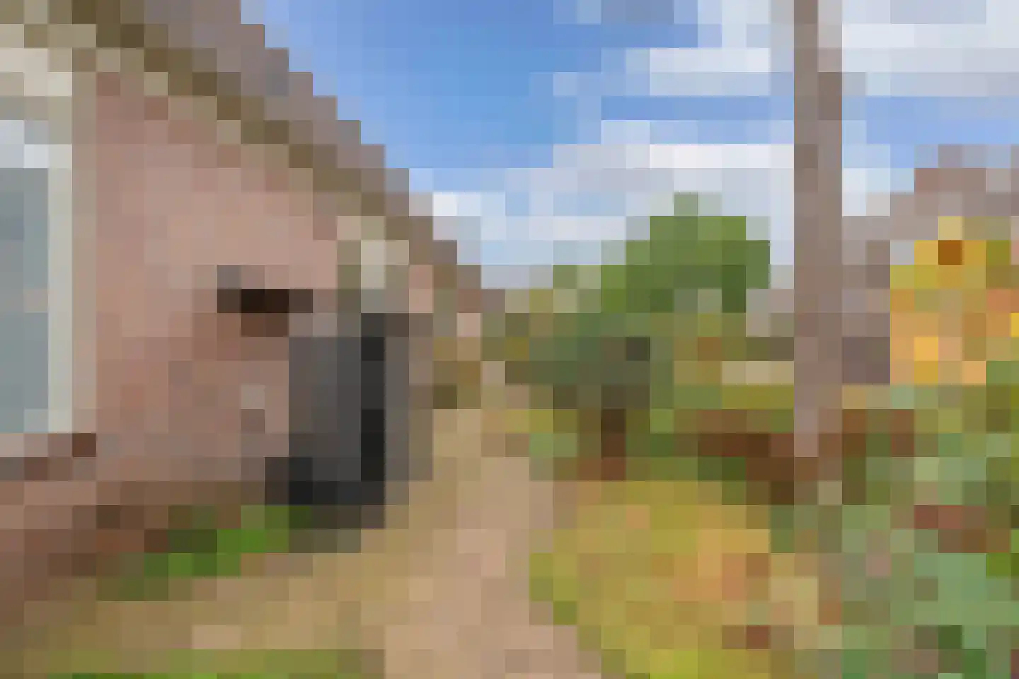 Kreuzeveen 25 Vledder thumbnail 46