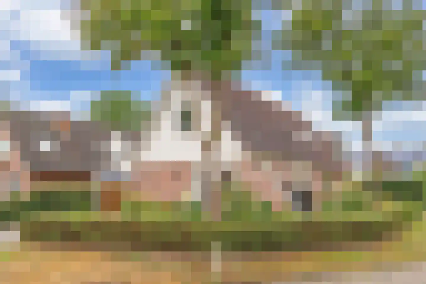 Kreuzeveen 25 Vledder thumbnail 46