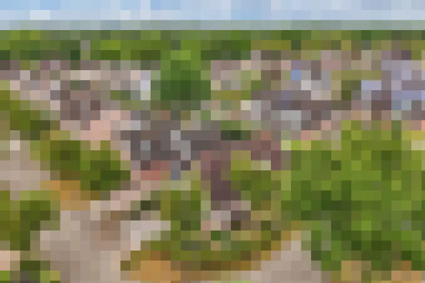 Kreuzeveen 25 Vledder thumbnail 47