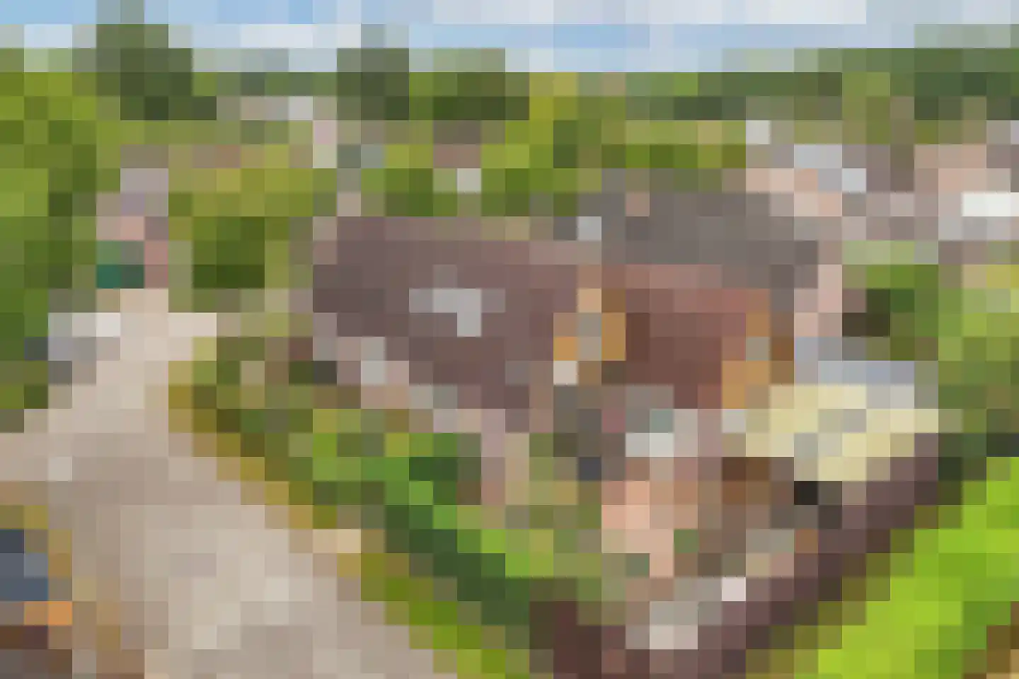 Kreuzeveen 25 Vledder thumbnail 48