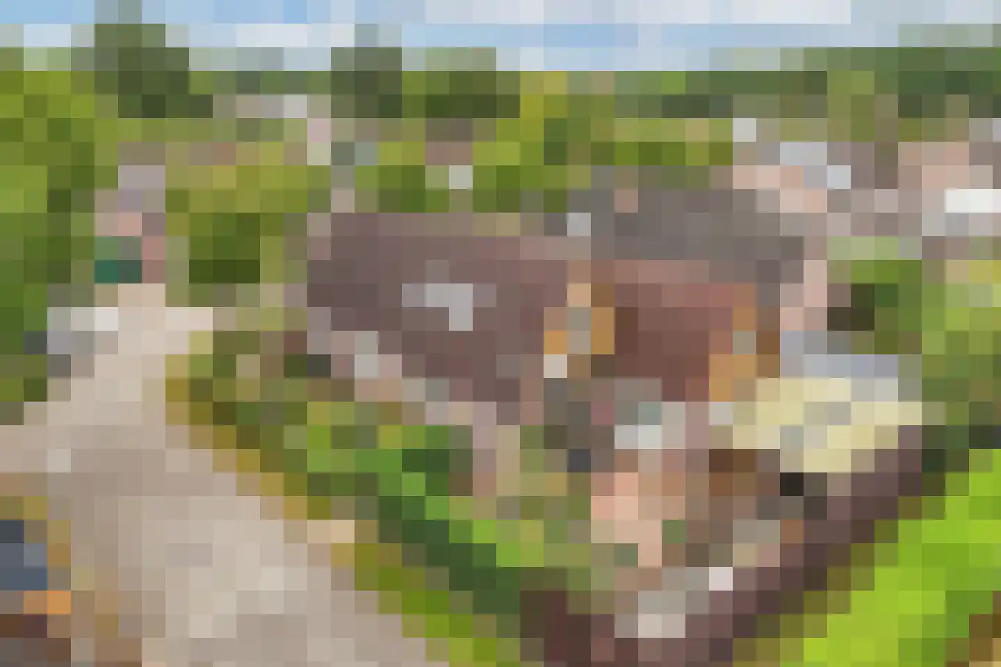 Kreuzeveen 25 Vledder thumbnail 49