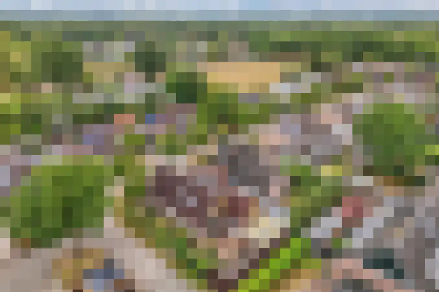 Kreuzeveen 25 Vledder thumbnail 49