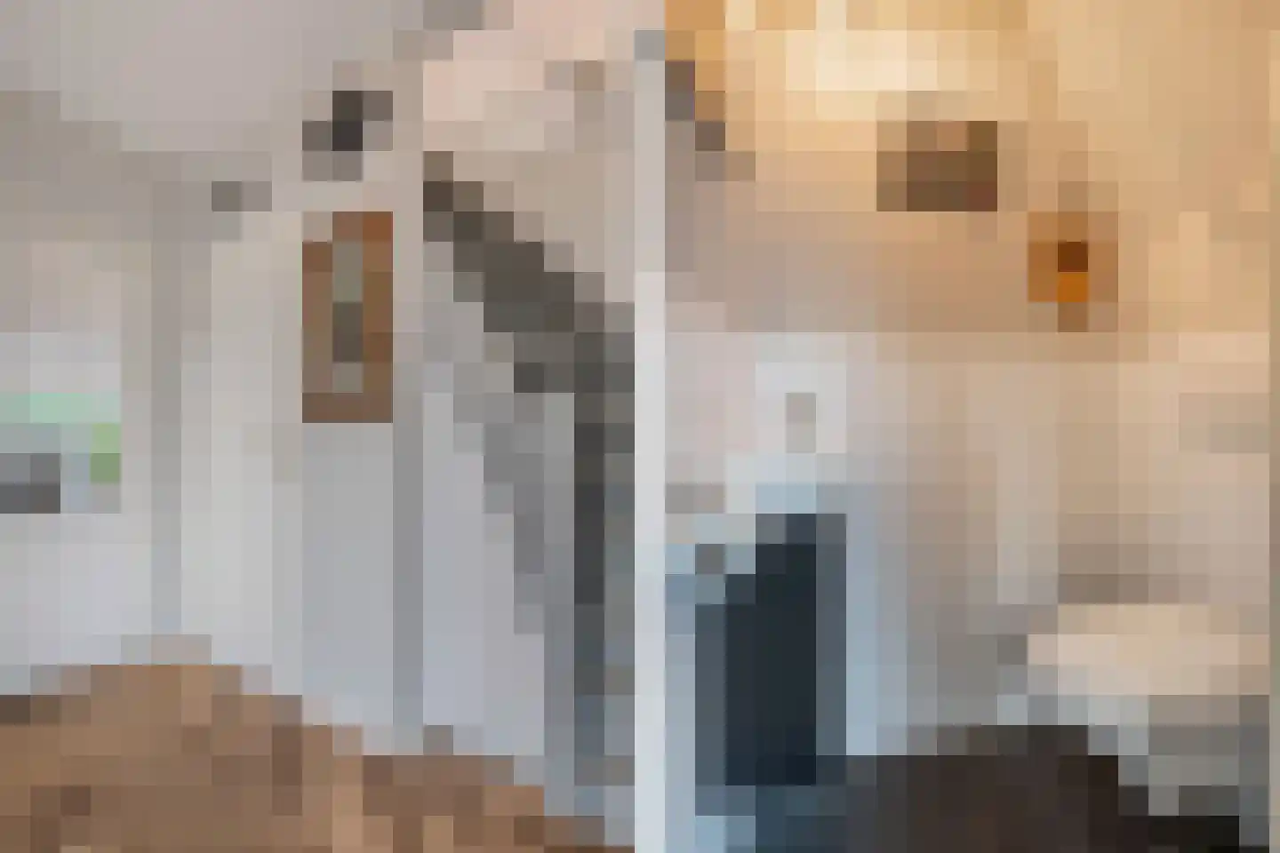 Kreuzeveen 25 Vledder thumbnail 6