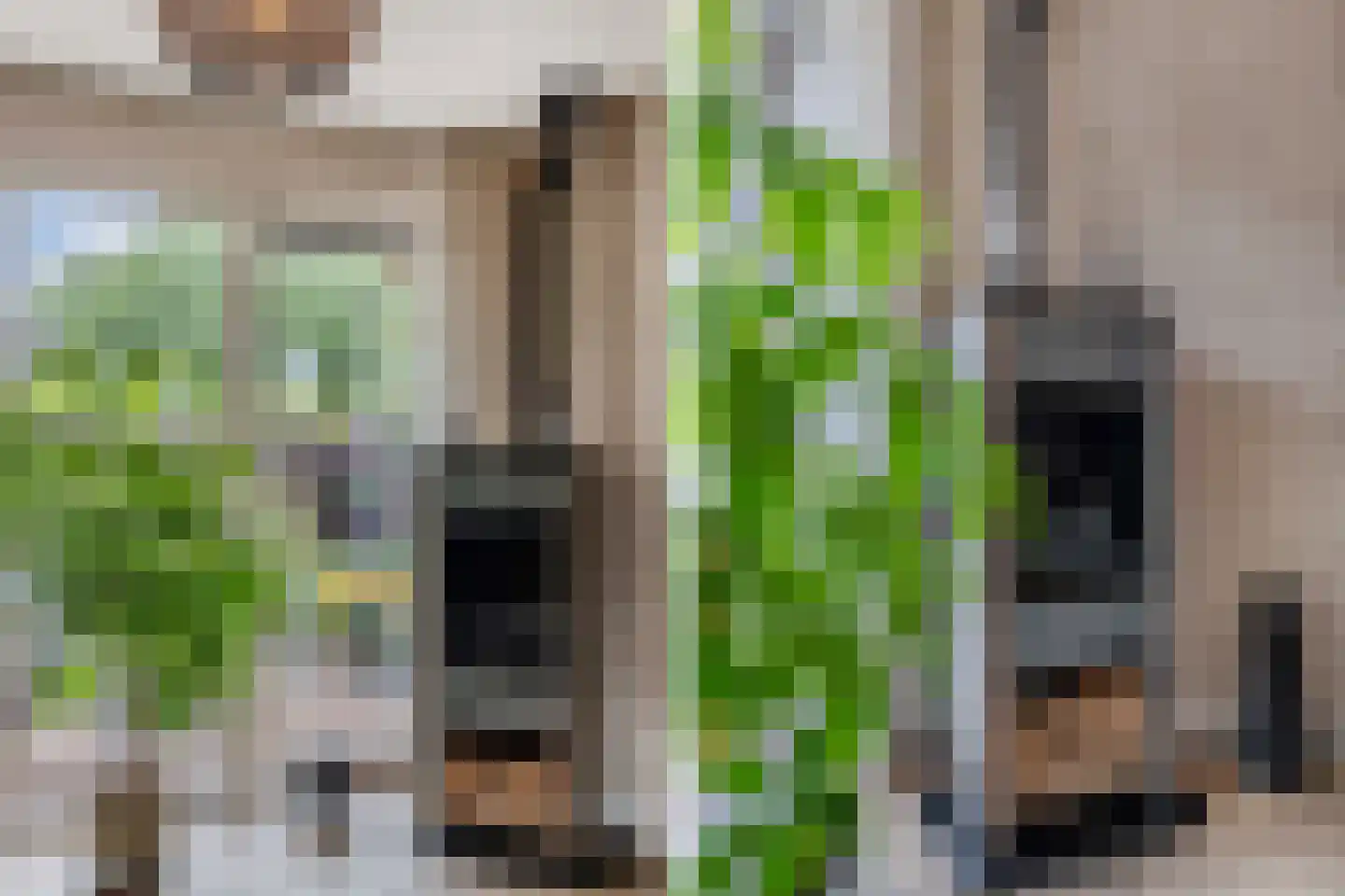 Kreuzeveen 25 Vledder thumbnail 9