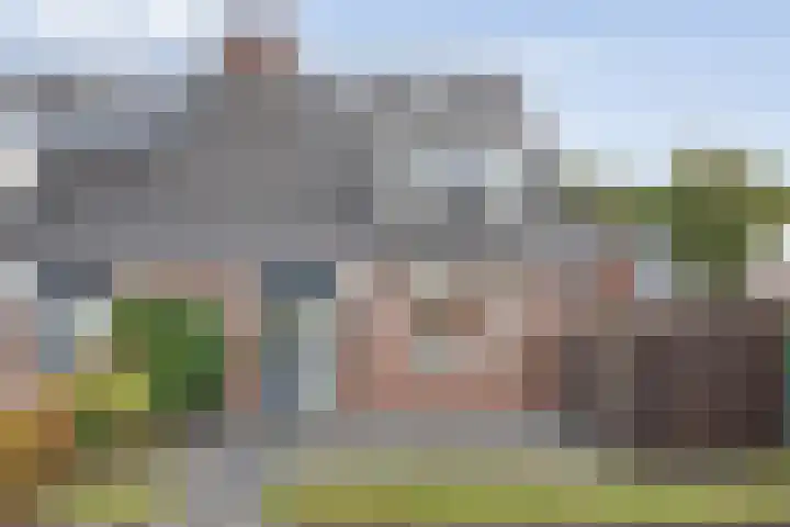 Kreuzeveen 4 Vledder