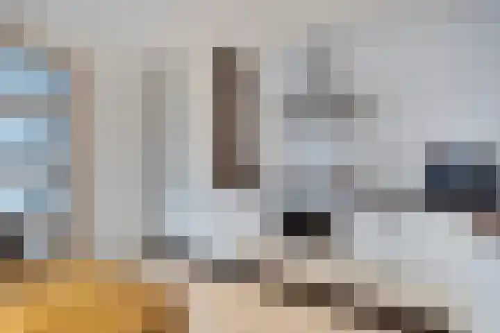 Kreuzeveen 4 Vledder thumbnail 14