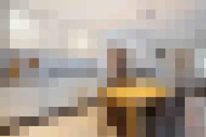 Kreuzeveen 4 Vledder thumbnail 15