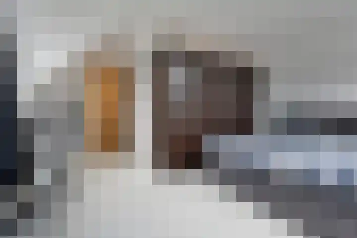 Kreuzeveen 4 Vledder thumbnail 19