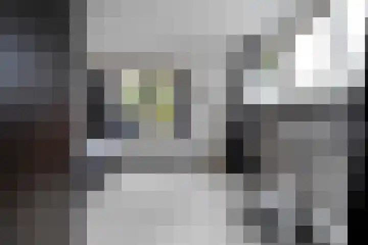 Kreuzeveen 4 Vledder thumbnail 20