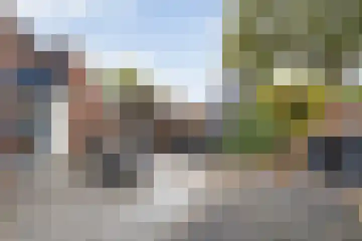 Kreuzeveen 4 Vledder thumbnail 27