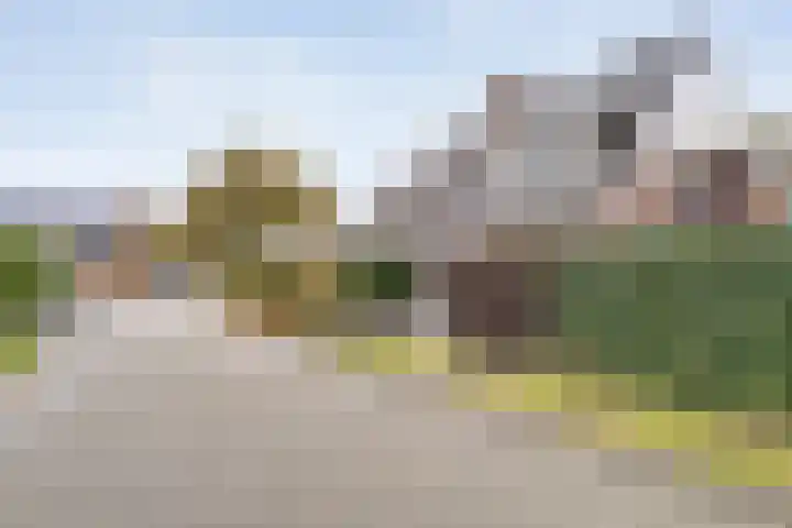 Kreuzeveen 4 Vledder thumbnail 5
