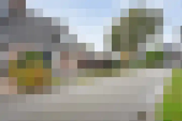 Kreuzeveen 4 Vledder thumbnail 6