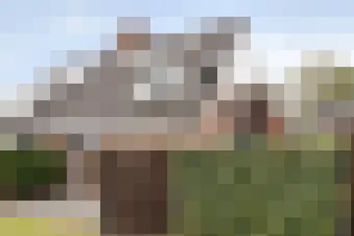 Kreuzeveen 4 Vledder thumbnail 7