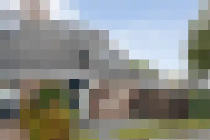 Kreuzeveen 4 Vledder thumbnail 8