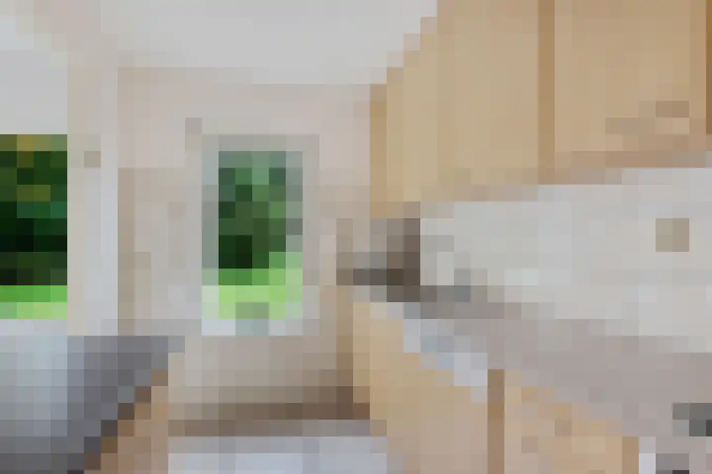 Kreuzeveen 44 Vledder thumbnail 10