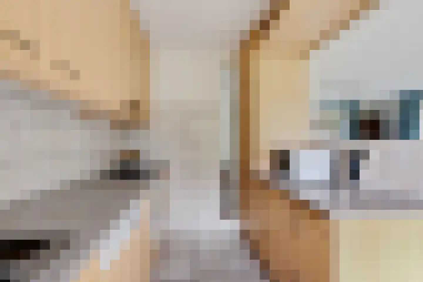 Kreuzeveen 44 Vledder thumbnail 11