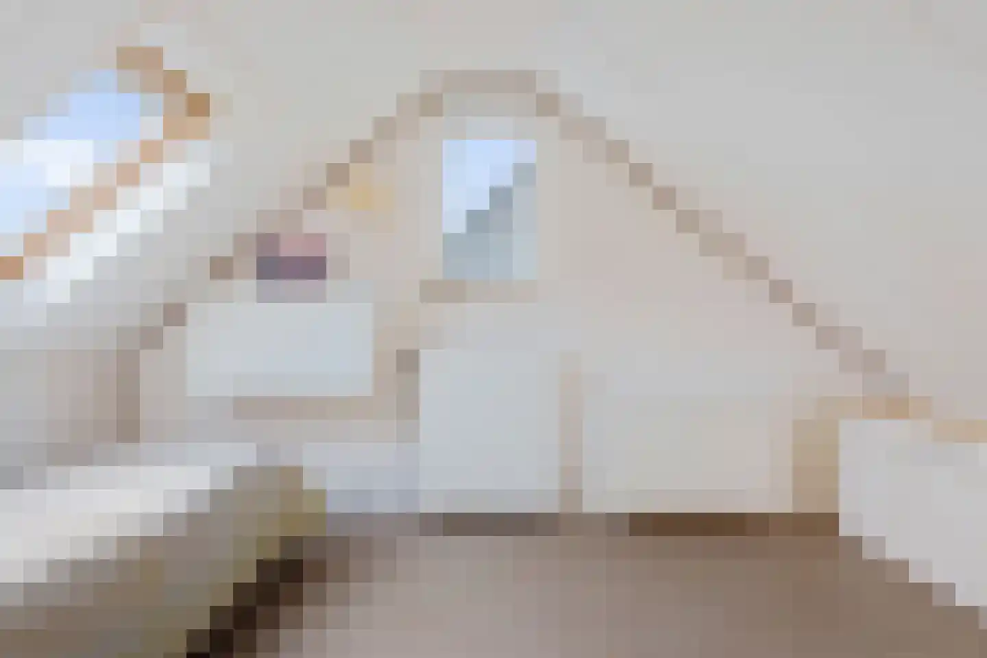 Kreuzeveen 44 Vledder thumbnail 19