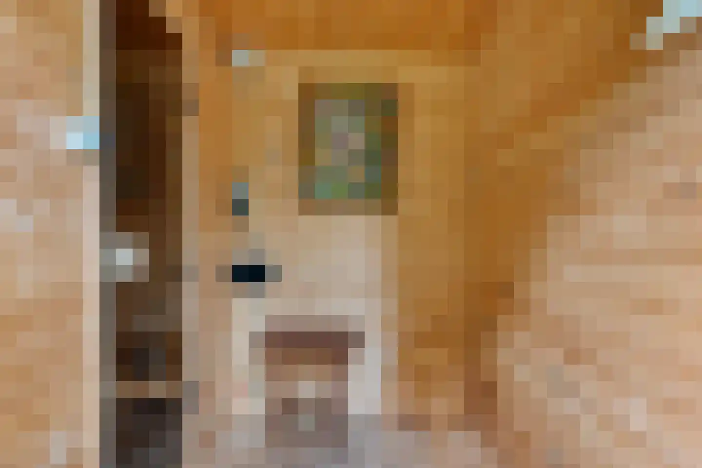 Kreuzeveen 44 Vledder thumbnail 27