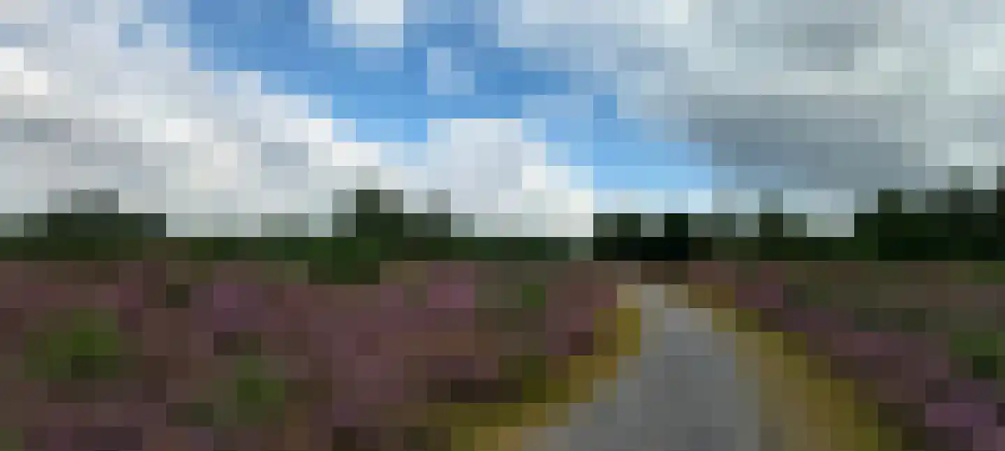 Kreuzeveen 44 Vledder thumbnail 32