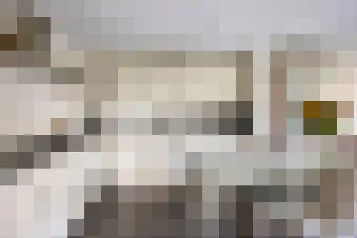 Kreuzeveen 8 Vledder thumbnail 12