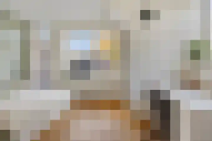 Kreuzeveen 8 Vledder thumbnail 16