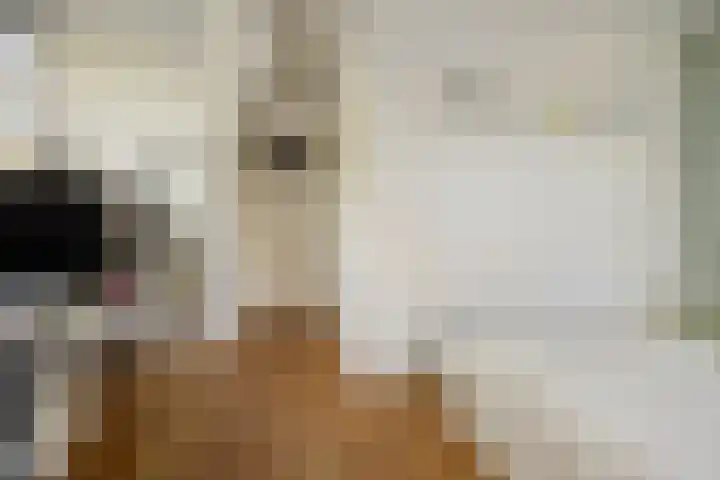 Kreuzeveen 8 Vledder thumbnail 17