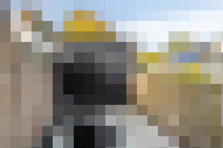 Kreuzeveen 8 Vledder thumbnail 20
