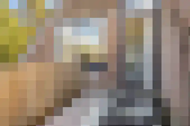 Kreuzeveen 8 Vledder thumbnail 21