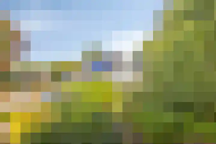 Kreuzeveen 8 Vledder thumbnail 24