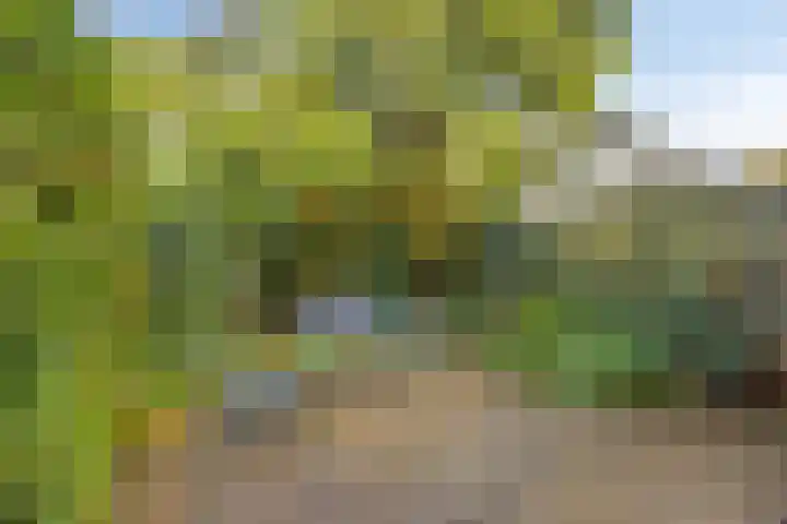 Kreuzeveen 8 Vledder thumbnail 25