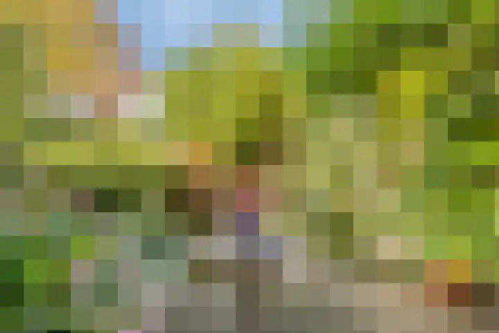 Kreuzeveen 8 Vledder thumbnail 27